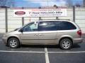 2002 Light Almond Pearl Dodge Grand Caravan eX  photo #1