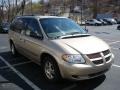 2002 Light Almond Pearl Dodge Grand Caravan eX  photo #6