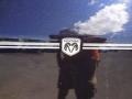 Blackberry Metallic - Grand Caravan SXT Photo No. 10