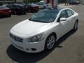 Winter Frost White - Maxima 3.5 SV Photo No. 3
