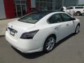 Winter Frost White - Maxima 3.5 SV Photo No. 7