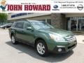 Cypress Green Pearl - Outback 2.5i Premium Photo No. 1