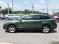Cypress Green Pearl 2013 Subaru Outback 2.5i Premium Exterior