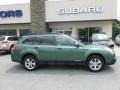 Cypress Green Pearl 2013 Subaru Outback 2.5i Premium Exterior