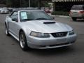 2003 Silver Metallic Ford Mustang GT Convertible  photo #8