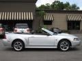 2003 Silver Metallic Ford Mustang GT Convertible  photo #9