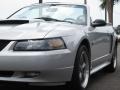 2003 Silver Metallic Ford Mustang GT Convertible  photo #28