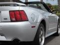 2003 Silver Metallic Ford Mustang GT Convertible  photo #29