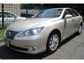 Satin Cashmere Metallic - ES 350 Photo No. 1