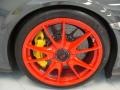 2010 Porsche 911 GT3 RS Wheel and Tire Photo