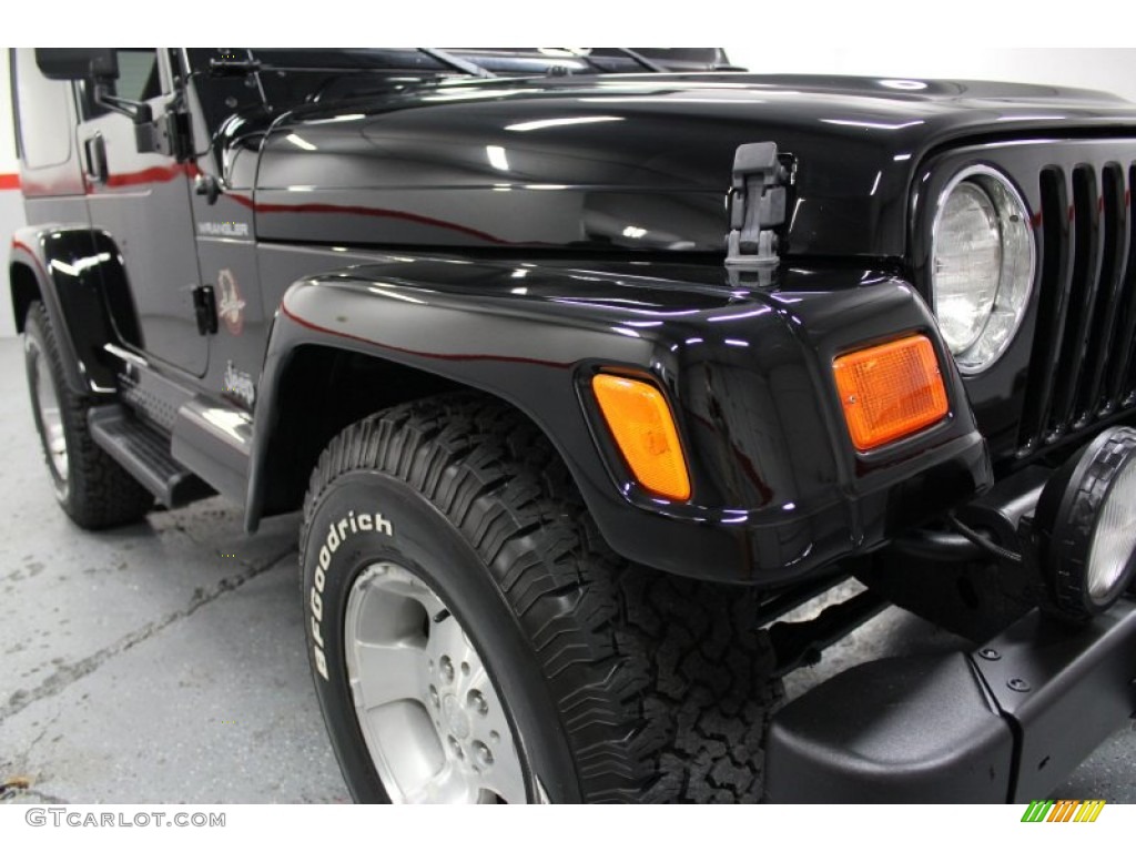 2002 Wrangler Sahara 4x4 - Black / Camel Beige/Dark Green photo #10