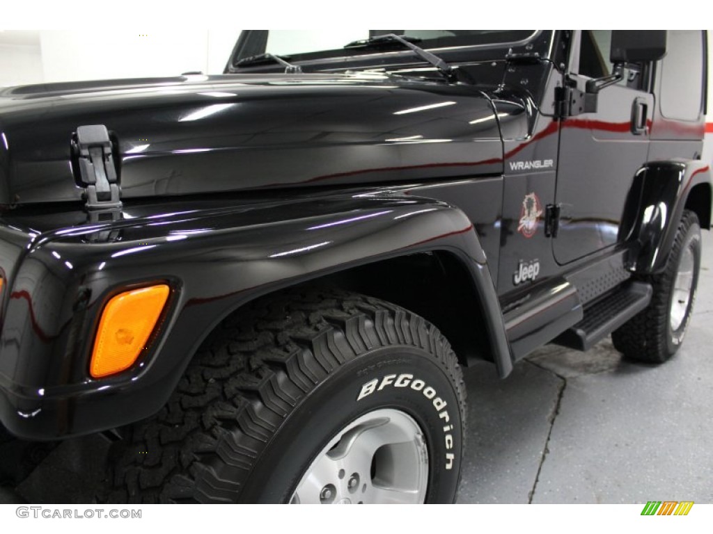 2002 Wrangler Sahara 4x4 - Black / Camel Beige/Dark Green photo #11