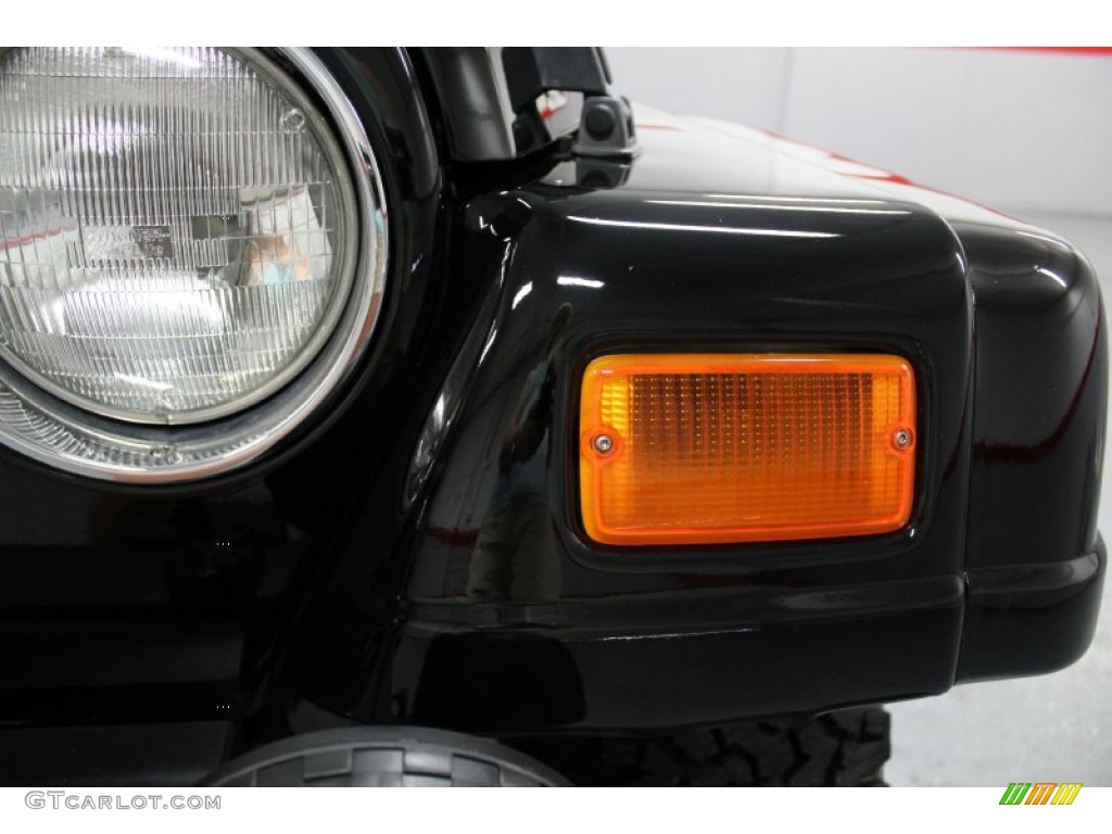 2002 Wrangler Sahara 4x4 - Black / Camel Beige/Dark Green photo #75