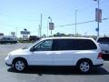 2004 Vibrant White Ford Freestar SES  photo #5