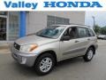 2002 Vintage Gold Metallic Toyota RAV4  #68579136