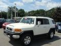 2010 Iceberg White Toyota FJ Cruiser 4WD  photo #3