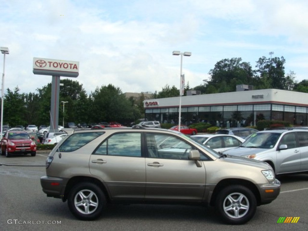2001 RX 300 AWD - Burnished Gold Metallic / Ivory photo #1