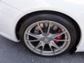 2010 Porsche 911 GT3 Wheel and Tire Photo