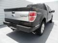 Tuxedo Black Metallic 2012 Ford F150 Platinum SuperCrew 4x4 Exterior