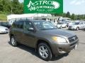 Pyrite Metallic - RAV4 I4 4WD Photo No. 1