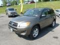 Pyrite Metallic - RAV4 I4 4WD Photo No. 3