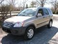 Sahara Sand Metallic - CR-V EX 4WD Photo No. 1