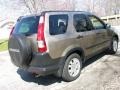 Sahara Sand Metallic - CR-V EX 4WD Photo No. 4