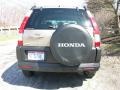 Sahara Sand Metallic - CR-V EX 4WD Photo No. 5