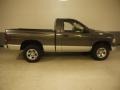 Graphite Metallic - Ram 1500 SLT Regular Cab 4x4 Photo No. 4