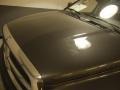 Graphite Metallic - Ram 1500 SLT Regular Cab 4x4 Photo No. 18