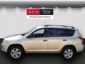2007 Savannah Metallic Toyota RAV4 4WD  photo #6