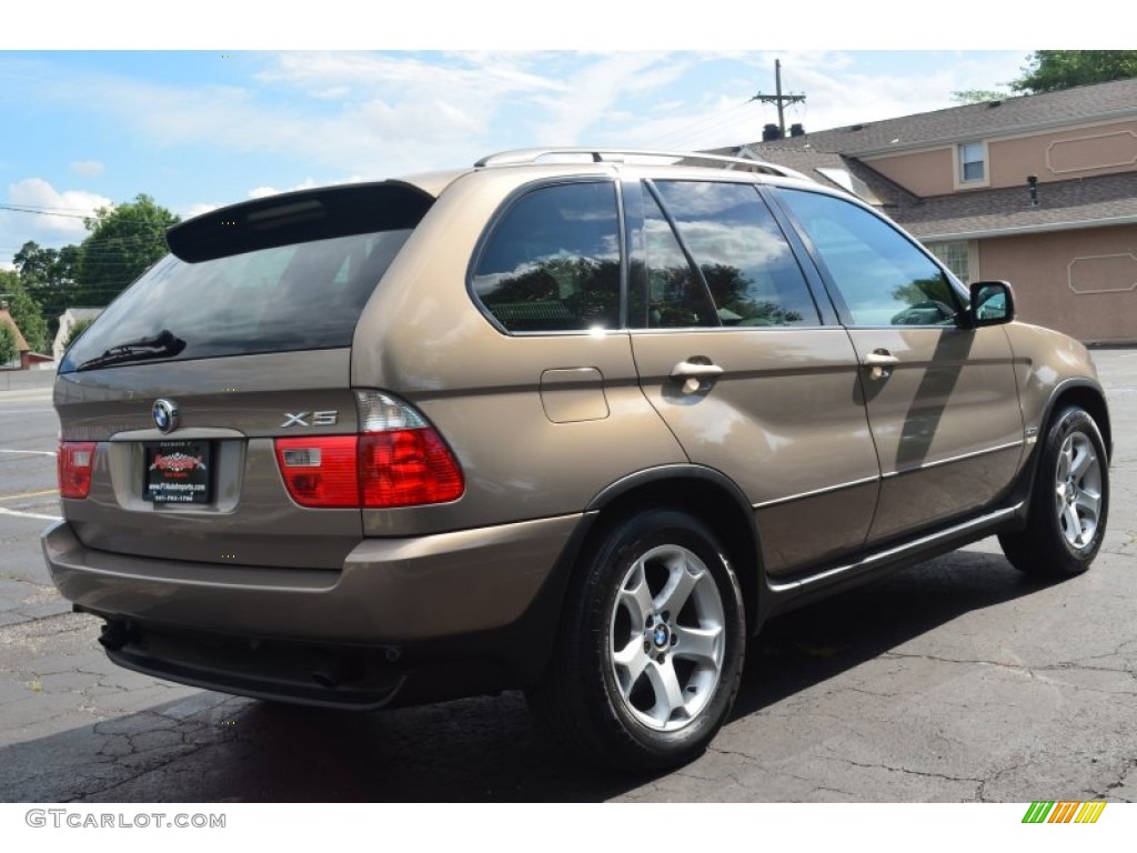 2006 X5 3.0i - Kalahari Beige Metallic / Black photo #7