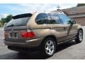 2006 Kalahari Beige Metallic BMW X5 3.0i  photo #7