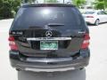 Black - ML 350 4Matic Photo No. 8