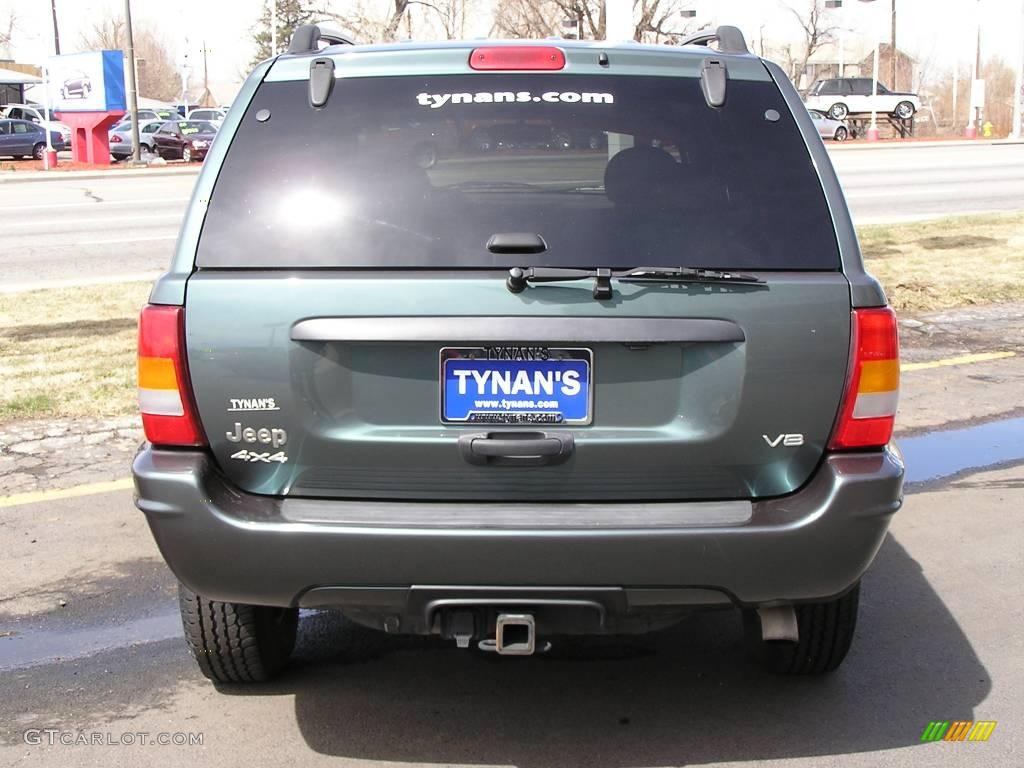 2004 Grand Cherokee Special Edition 4x4 - Onyx Green Pearl / Taupe photo #3