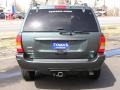 2004 Onyx Green Pearl Jeep Grand Cherokee Special Edition 4x4  photo #3
