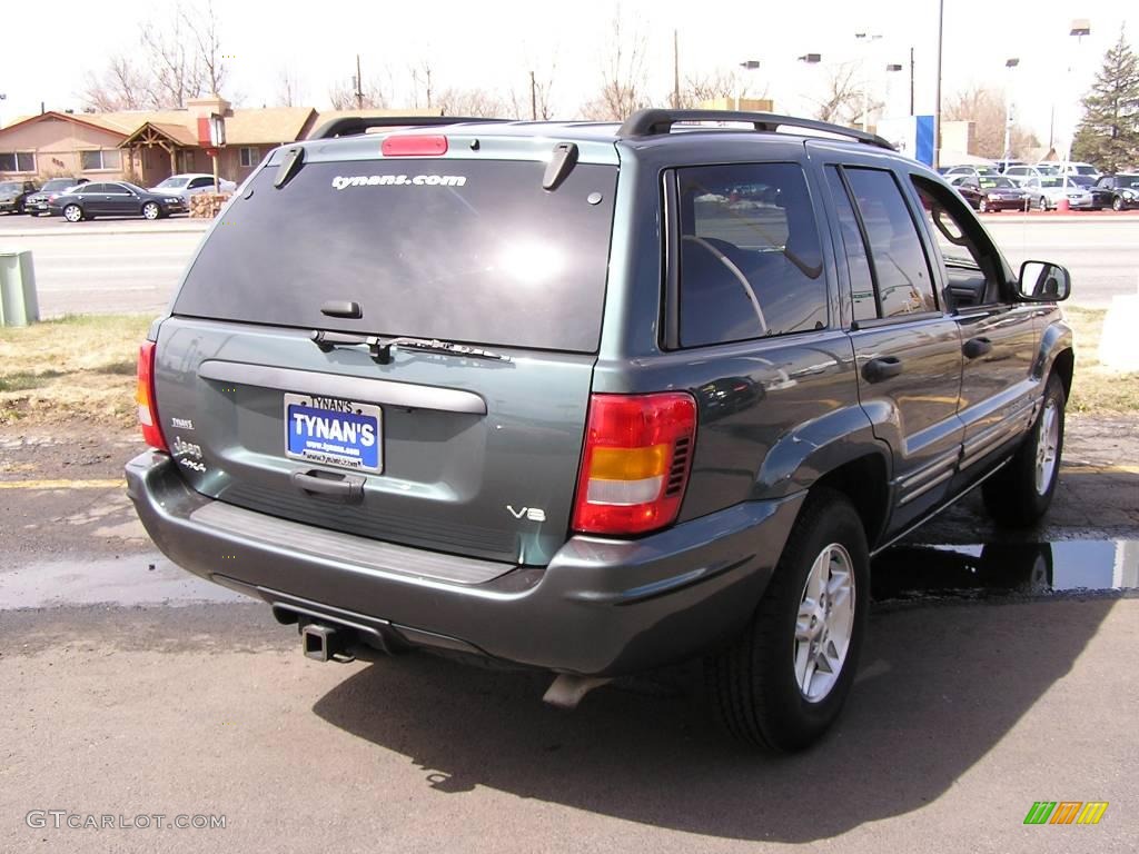2004 Grand Cherokee Special Edition 4x4 - Onyx Green Pearl / Taupe photo #4