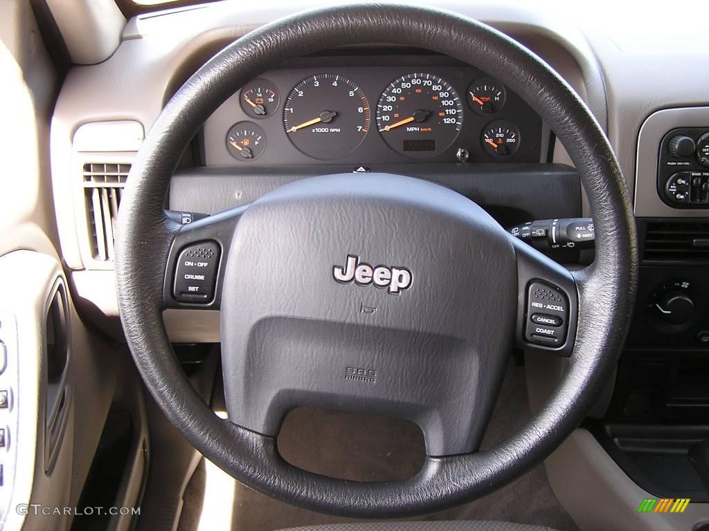 2004 Grand Cherokee Special Edition 4x4 - Onyx Green Pearl / Taupe photo #8