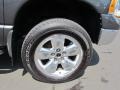 2004 Graphite Metallic Dodge Ram 1500 SLT Quad Cab 4x4  photo #4