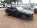 Black - Mustang V6 Premium Convertible Photo No. 6