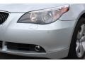Titanium Silver Metallic - 5 Series 530xi Sedan Photo No. 29