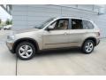 Platinum Bronze Metallic - X5 xDrive30i Photo No. 3