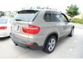 Platinum Bronze Metallic - X5 xDrive30i Photo No. 6