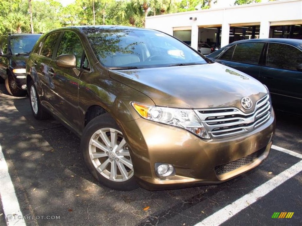 2010 Venza I4 - Golden Umber Mica / Ivory photo #1