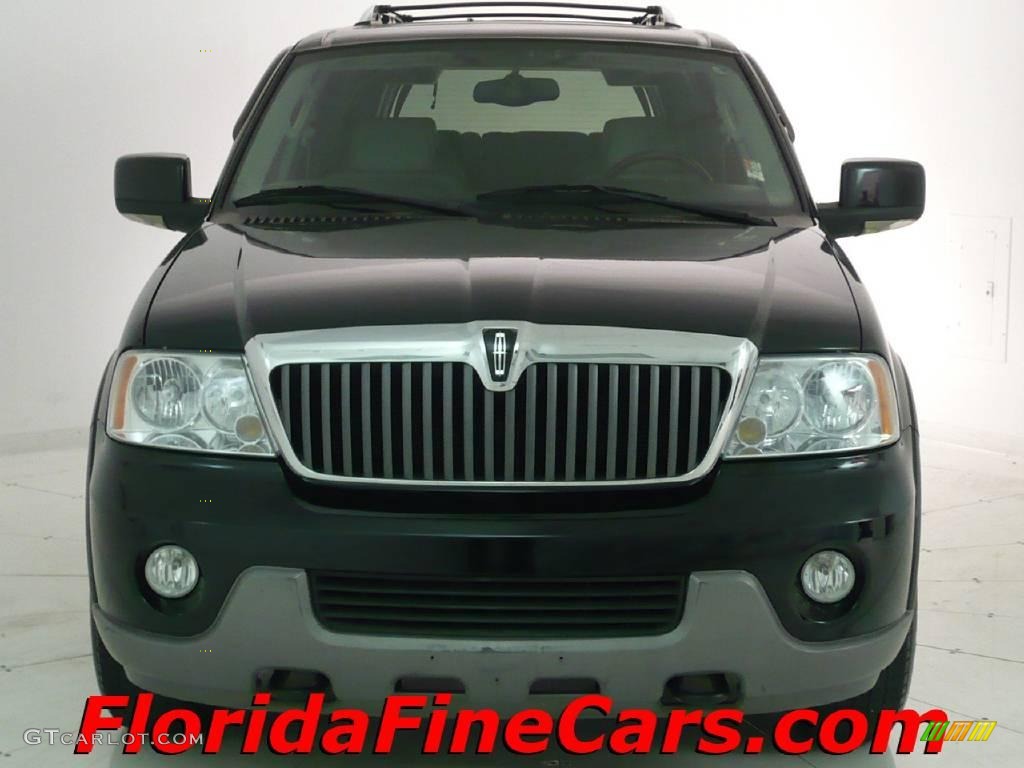 2004 Navigator Luxury - True Blue Metallic / Dove Grey photo #5