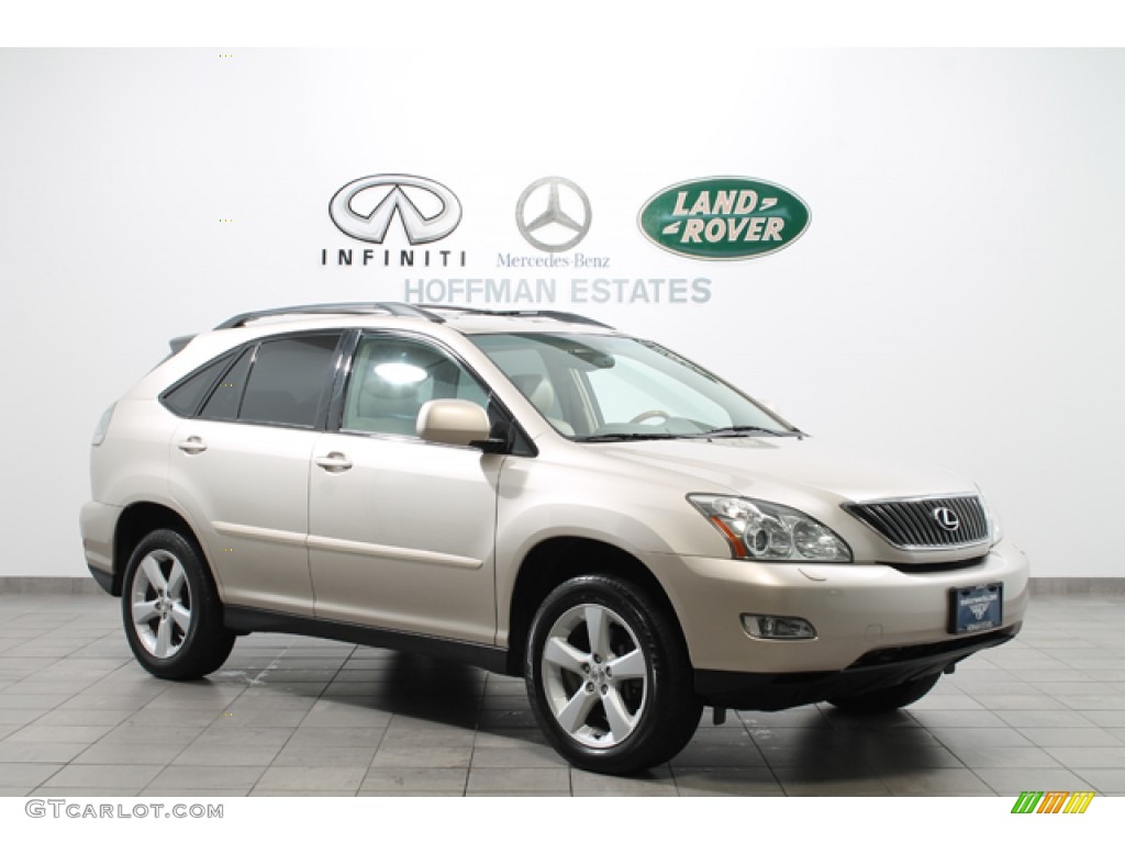 Savannah Metallic Lexus RX