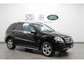 Black - ML 350 4Matic Photo No. 1
