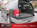 Black Clearcoat - Expedition XLT Photo No. 10