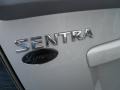 Brilliant Silver - Sentra 2.0 SR Photo No. 7