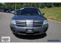 Titanium Gray Pearl - Endeavor XLS AWD Photo No. 44